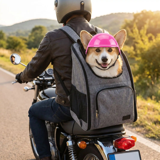 Chien Corgi souriant portant un casque de moto rose pour chien, installé dans un sac à dos de transport sur le dos d'un motard sur la route.