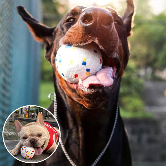 Grand chien Doberman et petit Bouledogue français jouant avec une balle ultra-résistante blanche à motifs colorés, idéale pour toutes tailles de chiens