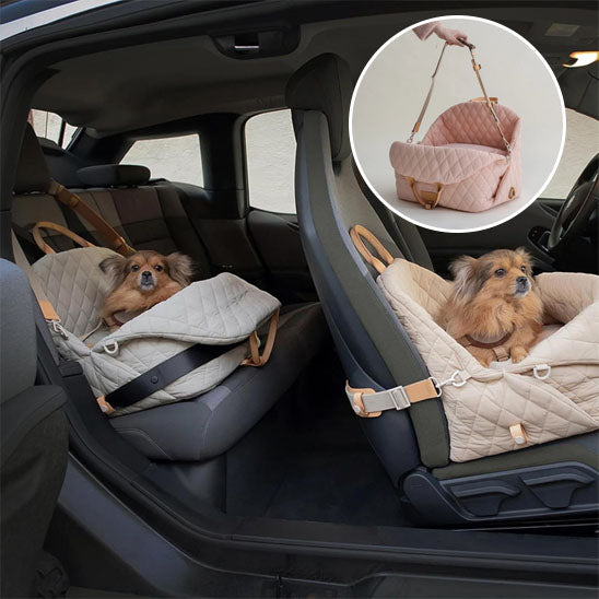 chiens dans sac de transport dans la voiture