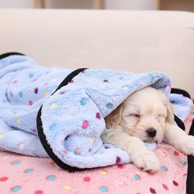 Un chiot est paisiblement endormie blotti au coeur de La doudou, une couverture pour chien en polaire de couleur bleue.