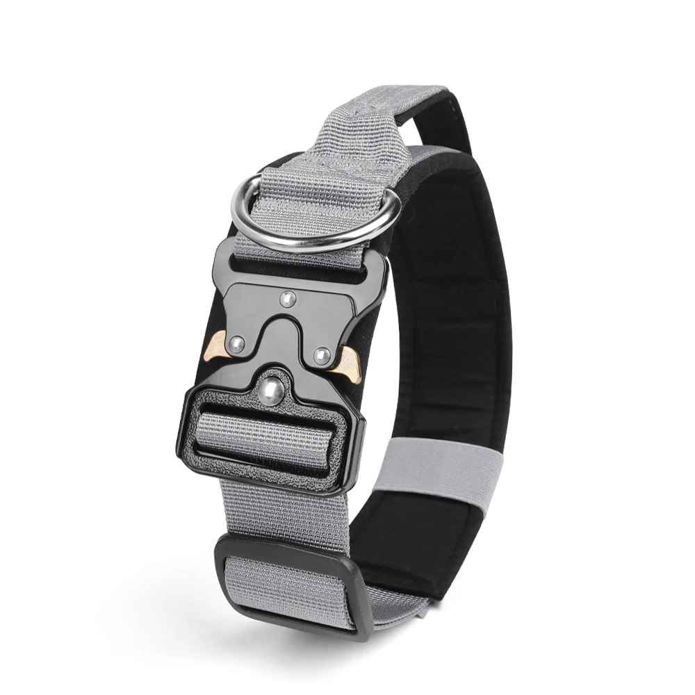 Collier tactique gris pour chien avec boucle en métal haute sécurité et sangle ajustable, conçu pour le confort des chiens de moyenne et grande taille.