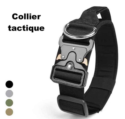 Présentation du collier tactique pour chien noir avec pastilles montrant les options de couleurs : noir, gris, vert militaire et kaki.