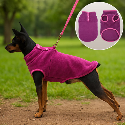 Chiot doberman en laisse avec pull rose