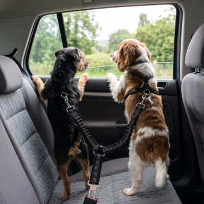 "Ceinture de sécurité double DuoPack pour chiens avec fixation universelle et deux longes réglables noires pour banquette arrière."