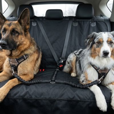 "Ceinture de sécurité double DuoPack pour chiens avec fixation universelle et deux longes réglables noires pour banquette arrière."