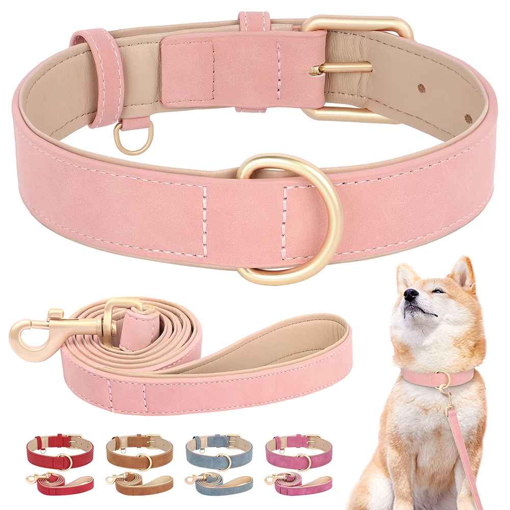 Ensemble Josette rose pâle pour chien incluant un collier avec boucle dorée et une laisse assortie, présenté avec un chien Shiba Inu pour illustrer le style raffiné sur pelage clair.