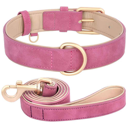Ensemble de promenade pour chien rose vif comprenant un collier ajustable et une laisse assortie en cuir PU, avec boucles dorées et rembourrage intérieur beige.
