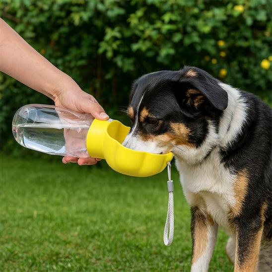 Gros plan d'un chien buvant de l'eau dans le réceptacle jaune de la gourde Pawfect 2 en 1, tenue à la main par son propriétaire, illustrant la praticité du bouton de distribution d'eau lors d'une pause en plein air.