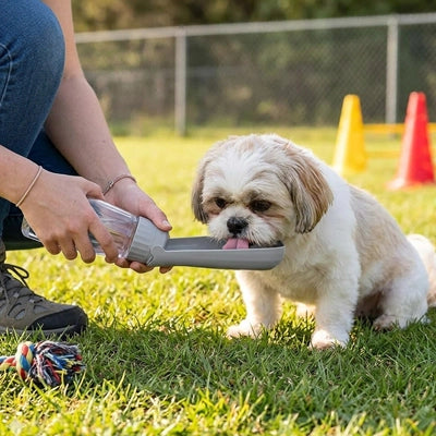 Gourde pour chien portable Hydra grise utilisée en extérieur pour hydrater un petit chien de race Shih Tzu dans l'herbe.