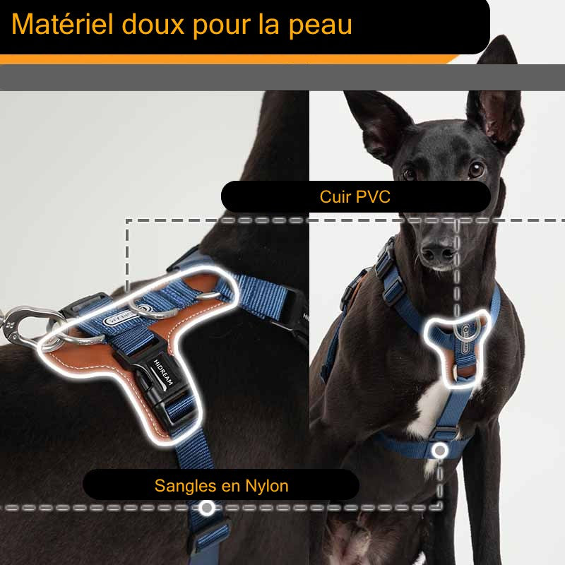 Détails techniques du harnais bleu Zuma montrant les matériaux : cuir PVC doux pour la peau et sangles en nylon résistant.