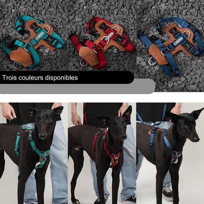 Comparatif des 3 couleurs du harnais anti-traction Zuma : turquoise, rouge et bleu, présentés à plat et portés par un chien