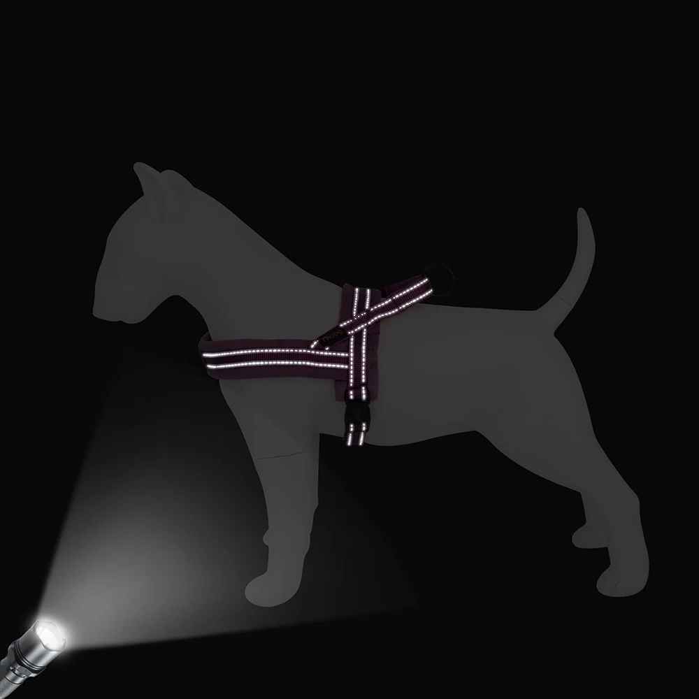 Harnais réfléchissant pour chien, démonstration de haute visibilité nocturne, accessoire de sécurité pour balade du soir, modèle Confort Nuage violet, boutique Pitou et moi.