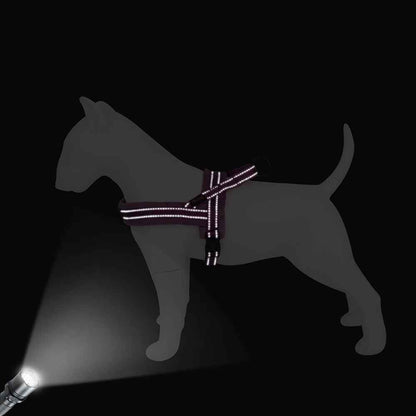 Harnais réfléchissant pour chien, démonstration de haute visibilité nocturne, accessoire de sécurité pour balade du soir, modèle Confort Nuage violet, boutique Pitou et moi.