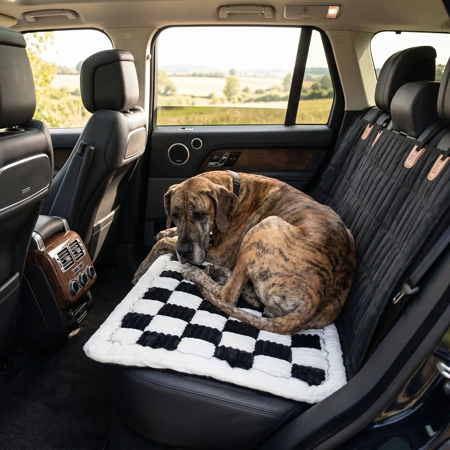Grand chien de type Danois couché sur une housse de protection noire et un tapis à damier noir et blanc sur la banquette arrière d'une voiture.
