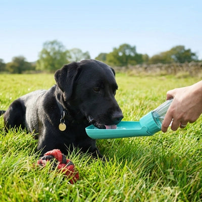 Gourde pour chien portable Hydra couleur turquoise utilisée en extérieur pour hydrater un chien Labrador noir dans un champ.
