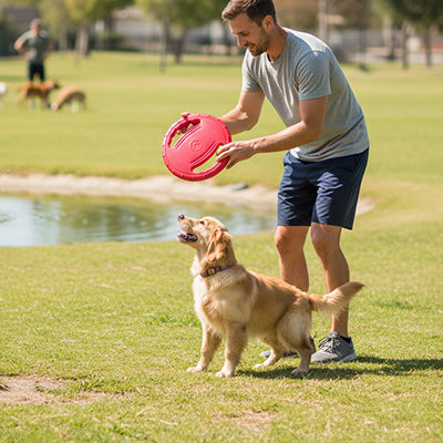 Homme lançant un frisbee rouge souple à son chien Golden Retriever dans un parc près d'un lac.