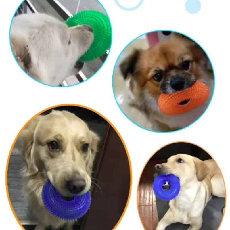 Montage photo de quatre chiens de races différentes s'amusant et mâchant les anneaux de dentition colorés (vert, orange, bleu, violet) Hop-Là de Pitou et moi.