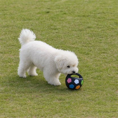Un petit chien blanc de race Bichon est debout sur une pelouse verte, penché en train de jouer avec la Squickie Ball, un jouet pour chien noir en forme de ballon de football américain doté d'une poignée et de facettes colorées.