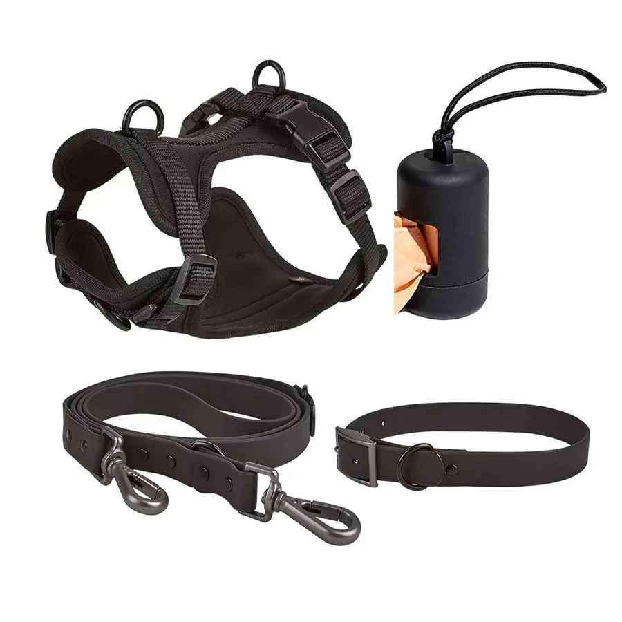 Kit complet promenade chien noir : harnais confort, laisse robuste et collier - Collection Pitou et moi.