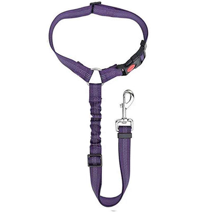 Laisse Sécurité Chien Voiture (appui-tête)| BeSafe
