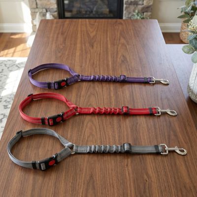 trois couleurs de laisse de sécurtié pour chien pour voiture
