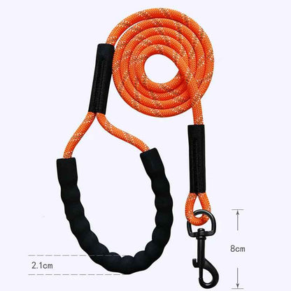 Longe d'entraînement orange pour chien en corde d'escalade robuste avec poignée rembourrée et bandes réfléchissantes.