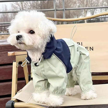 Petit chien blanc à poil frisé de profil, portant la combinaison imperméable Petit Moussaillon vert pâle avec empiècement bleu marine au niveau du cou.