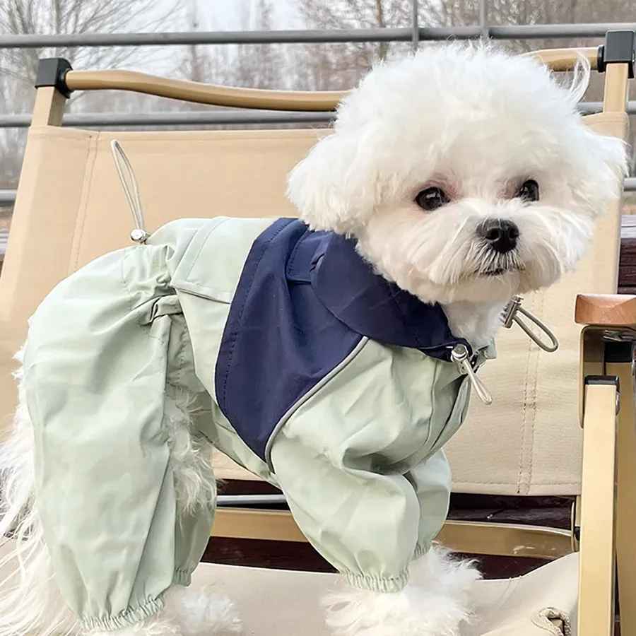 Petit chien blanc à poil frisé de profil, portant la combinaison imperméable Petit Moussaillon vert pâle avec empiècement bleu marine au niveau du cou.