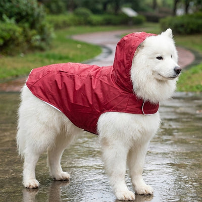 Chien de race Samoyède portant le manteau imperméable Marcus rouge avec capuche, idéal pour la protection contre la pluie et le vent.