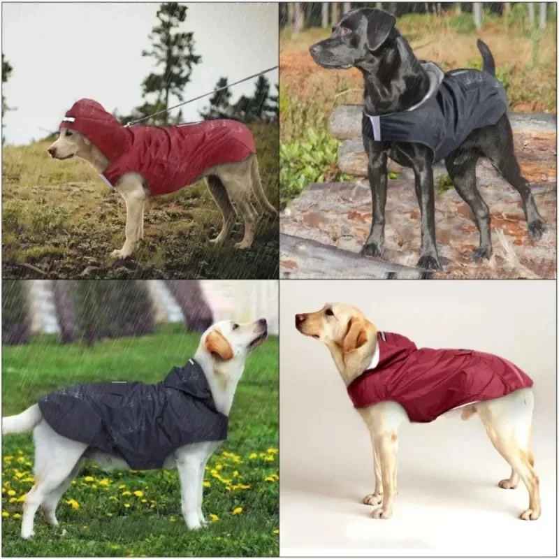 Montage de quatre photos montrant des chiens de différentes tailles portant le manteau imperméable Marcus en couleurs rouge et bleu marin, en extérieur et en studio.