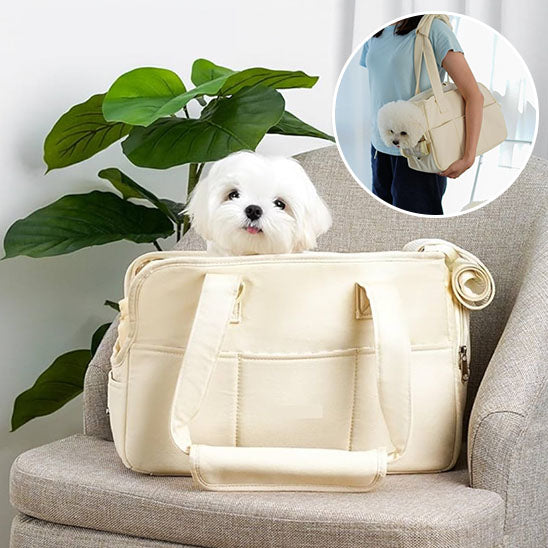 Petit chien blanc de type Bichon confortablement installé dans un sac de transport en coton beige posé sur un fauteuil, à côté d'une plante verte.