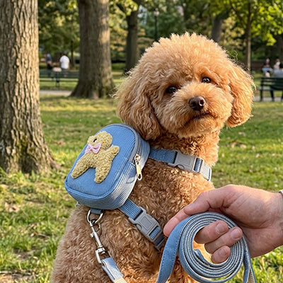Harnais avec sac à dos bleu pour petit chien, ensemble laisse et harnais WOOFit en tissu résistant, accessoire de promenade mignon pour caniche et bichon.