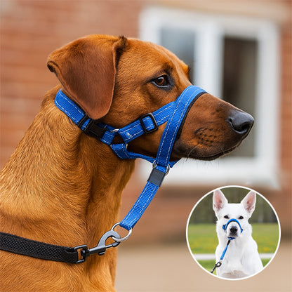Profil d'un chien de type Rhodesian Ridgeback portant le licou d'éducation Gueule D'ange bleu, avec un médaillon montrant un Berger Blanc Suisse portant le même dispositif, illustrant l'ajustement confortable sur différentes races.
