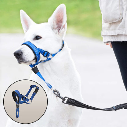 Chien de race Berger Blanc Suisse portant le licou d'éducation Gueule D'ange bleu, avec un schéma en médaillon montrant le système de boucles réglables et le point d'attache sous le museau.