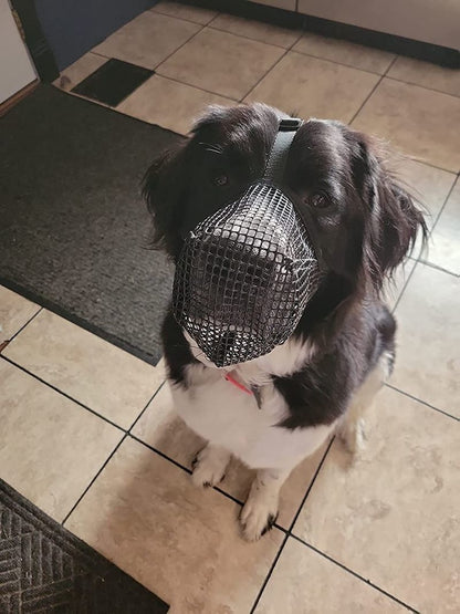 Muselière en filet pour chien noir, protection respirante et légère Flex Guard pour balades en toute sécurité, empêche de manger des déchets, boutique Pitou et moi.