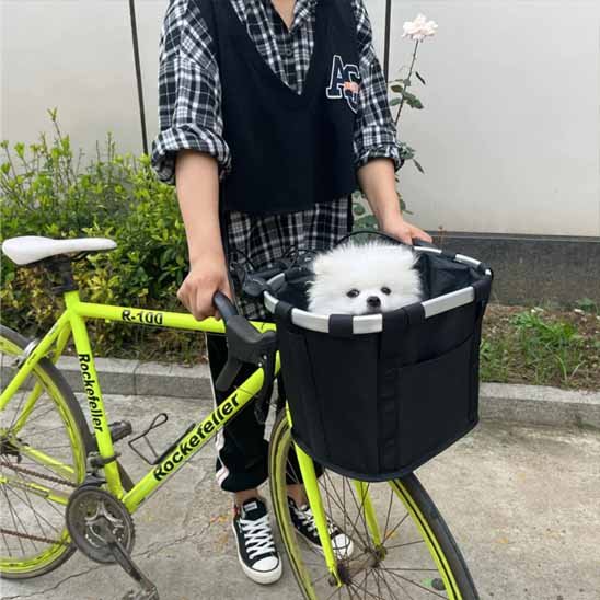 Petit chien Pomeranien blanc installé dans le panier de vélo Sécuriride noir, fixé sur un vélo de route jaune fluorescent, idéal pour le transport sécurisé d'animaux de petite taille.