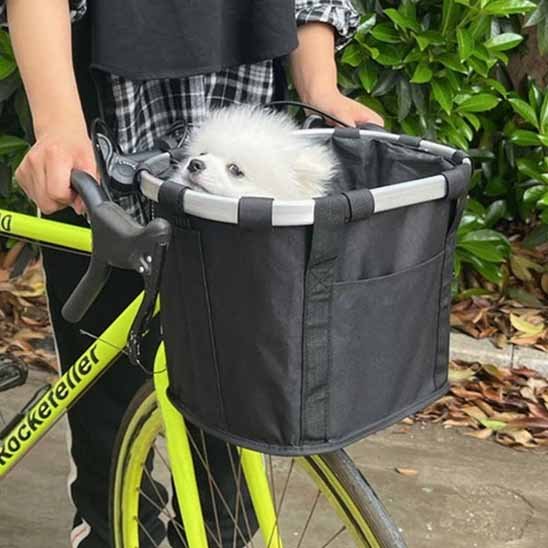 Petit chien blanc porté dans le panier amovible Sécuriride noir, tenu à bout de bras pour montrer sa fonction de sac de transport polyvalent avec poignées rigides.