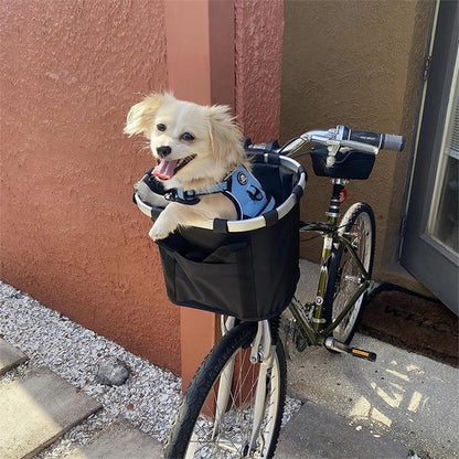 Petit chien de type Épagneul Tibétain souriant dans son panier vélo Sécuriride noir, installé sur un vélo de ville devant une maison, illustrant le confort du transport canin.