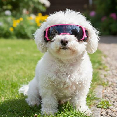 Lunettes pour petit chien rose, protection solaire ajustable pour bichon et caniche, accessoires de mode pour animaux de compagnie, boutique Pitou et moi.