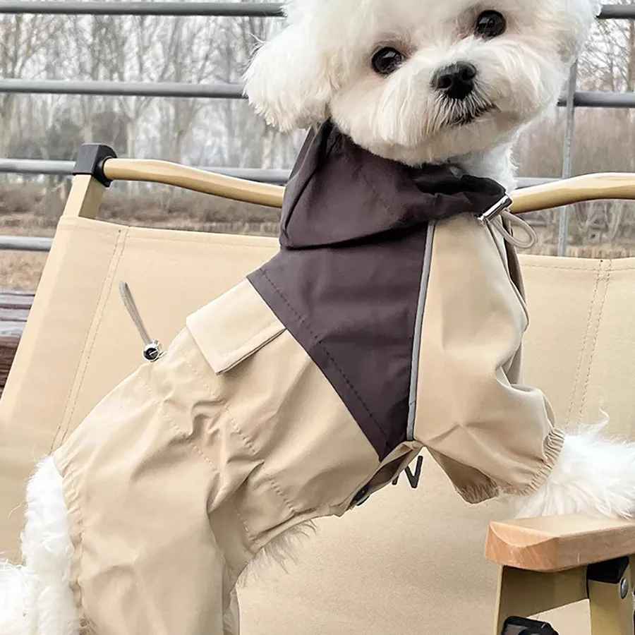 Petit chien blanc portant la combinaison imperméable beige et grise Petit Moussaillon pour une protection intégrale des 4 pattes.