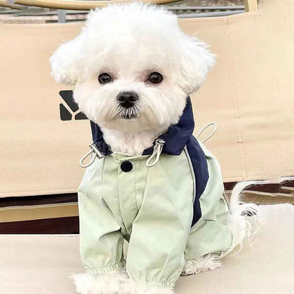 Petit chien blanc (type Bichon) portant la combinaison imperméable Petit Moussaillon vert pâle et bleu marine, vue de face avec capuche baissée.