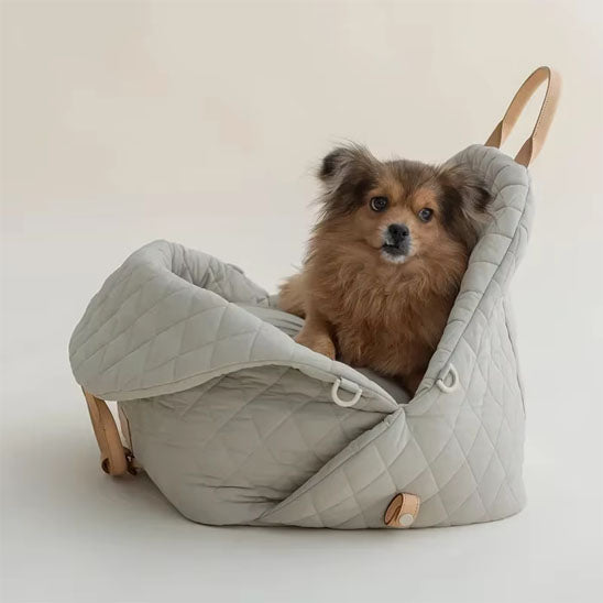 petit chien confortable dans sac de transport chien