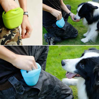 Utilisation de la pochette à friandises magnétique pour chien en extérieur, accessoire de dressage en silicone bleu et vert, idéal pour l'éducation positive d'un Border Collie.