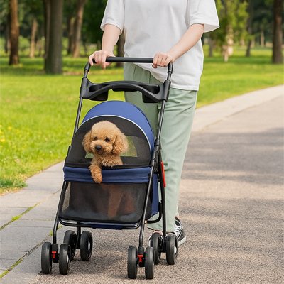 Petit chien Caniche toy marron dans la poussette MobilConfort bleue en promenade, mettant en avant le coloris bleu marine et le filet de protection ouvert.