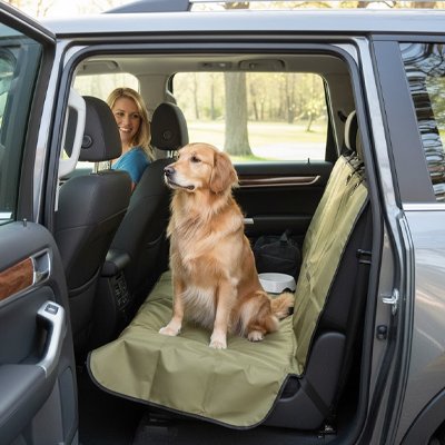 Protection chien voiture