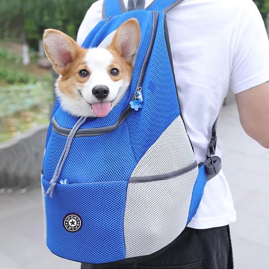Sac à dos pour chien 