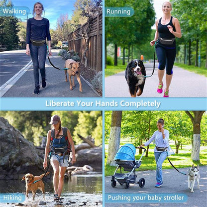 Collage photo montrant les différents usages de la laisse mains libres pour chien : marche décontractée, course à pied (running) en ville, randonnée en forêt et promenade avec une poussette bébé.