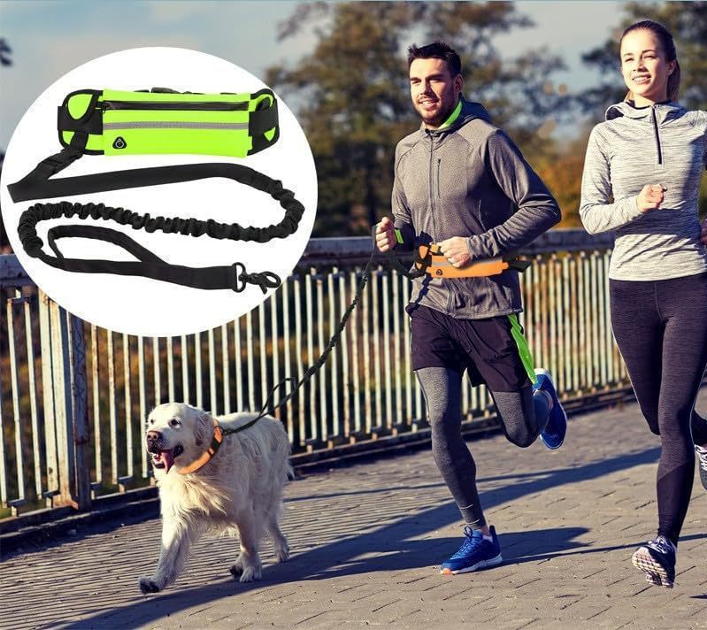 texte Couple pratiquant le jogging avec un chien en laisse mains libres attachée à un sac banane de sport jaune fluo, idéal pour le canicross et la course à pied.