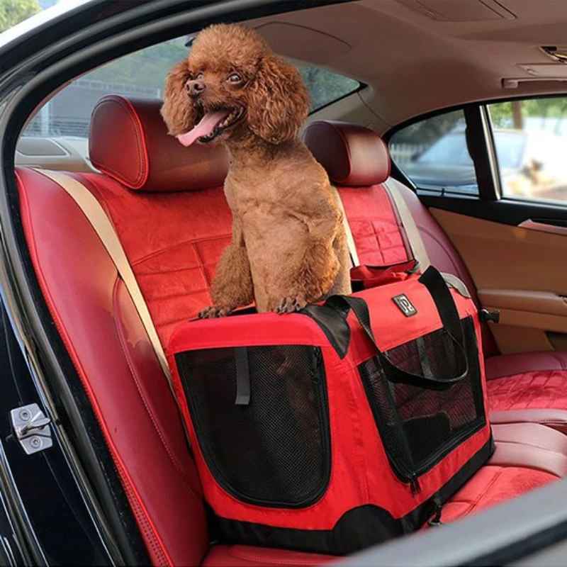 Petit chien Caniche installé dans sa cage Nid Mobile rouge sur le siège arrière d'une voiture, illustrant l'utilisation sécurisée comme siège d'auto pour chien lors des voyages.