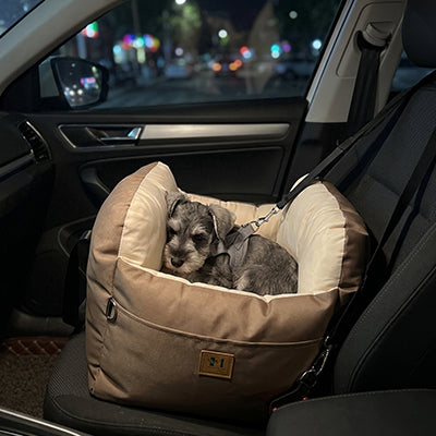 Siège auto pour chien sécurisé Wouf and Route en situation réelle, panier de transport brun avec attache au siège et sangle reliée au harnais du chien.